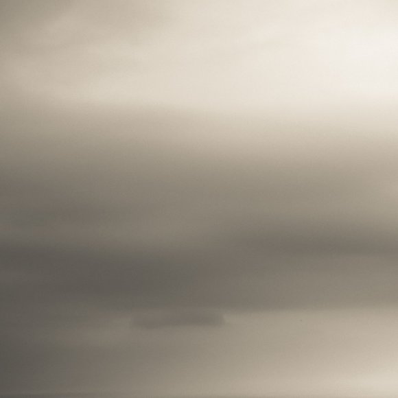 Meet your Posher, Lucy - Picture 1 of 1